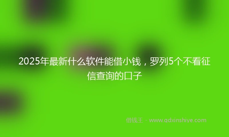2025年最新什么软件能借小钱，罗列5个不看征信查询的口子