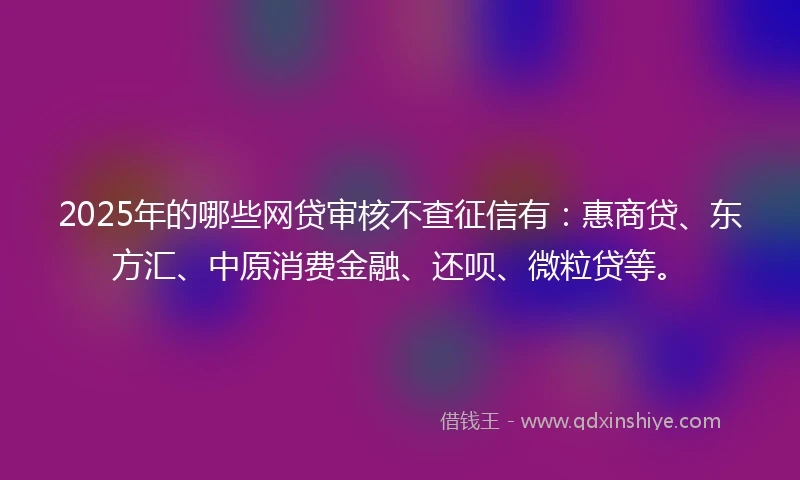 2025年的哪些网贷审核不查征信有：惠商贷、东方汇、中原消费金融、还呗、微粒贷等。