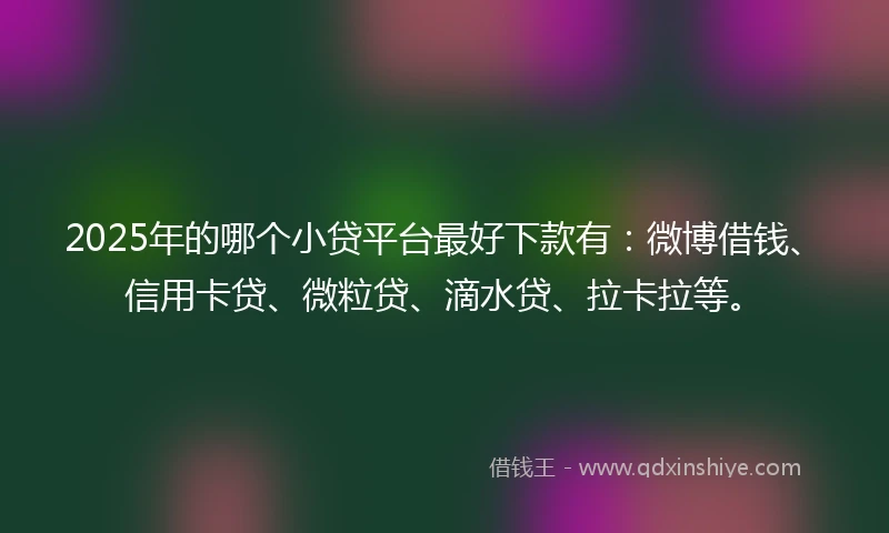2025年的哪个小贷平台最好下款有：微博借钱、信用卡贷、微粒贷、滴水贷、拉卡拉等。