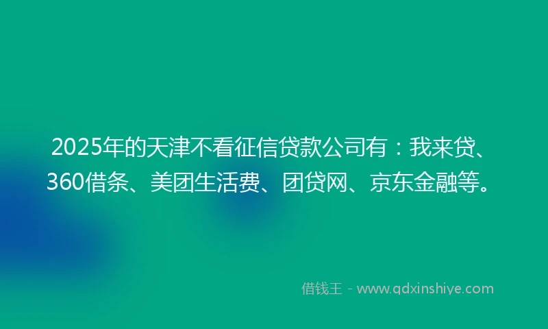 2025年的天津不看征信贷款公司有：我来贷、360借条、美团生活费、团贷网、京东金融等。