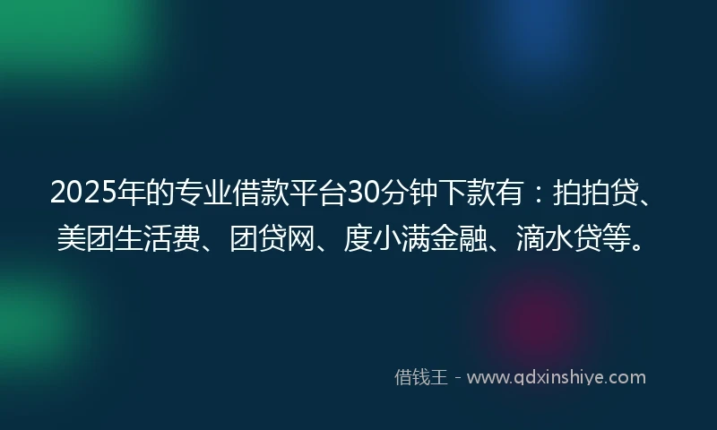 2025年的专业借款平台30分钟下款有：拍拍贷、美团生活费、团贷网、度小满金融、滴水贷等。