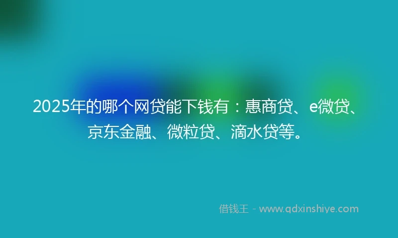 2025年的哪个网贷能下钱有：惠商贷、e微贷、京东金融、微粒贷、滴水贷等。
