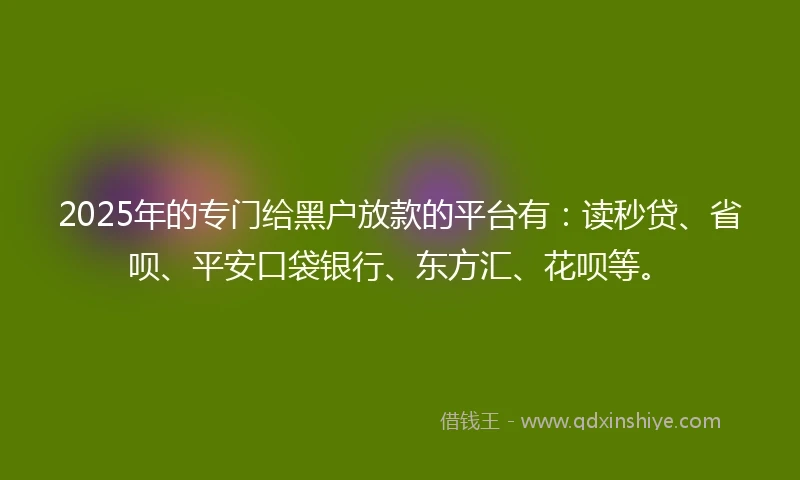 2025年的专门给黑户放款的平台有：读秒贷、省呗、平安口袋银行、东方汇、花呗等。