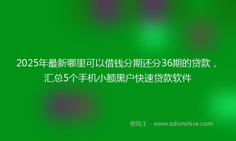 2025年最新哪里可以借钱分期还分36期的贷款，汇总5个手机小额黑户快速贷款软件