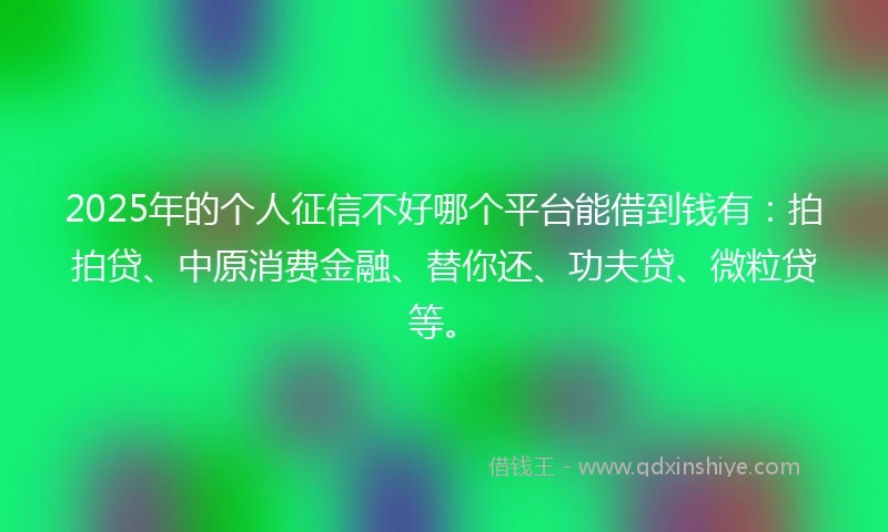 2025年的个人征信不好哪个平台能借到钱有：拍拍贷、中原消费金融、替你还、功夫贷、微粒贷等。