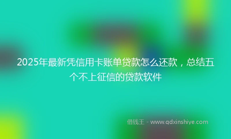 2025年最新凭信用卡账单贷款怎么还款，总结五个不上征信的贷款软件