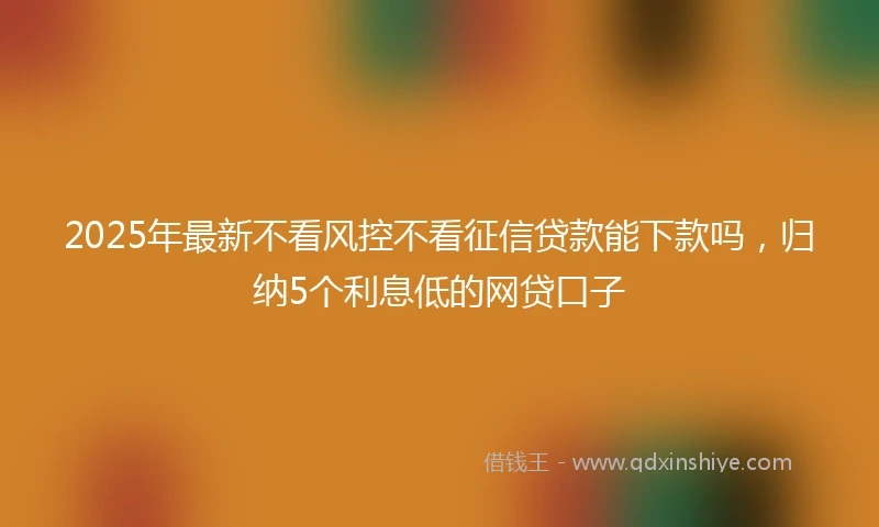 2025年最新不看风控不看征信贷款能下款吗，归纳5个利息低的网贷口子