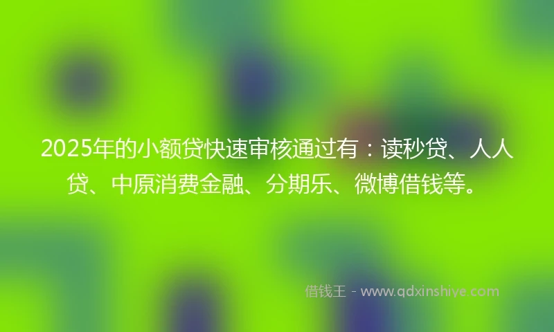 2025年的小额贷快速审核通过有：读秒贷、人人贷、中原消费金融、分期乐、微博借钱等。