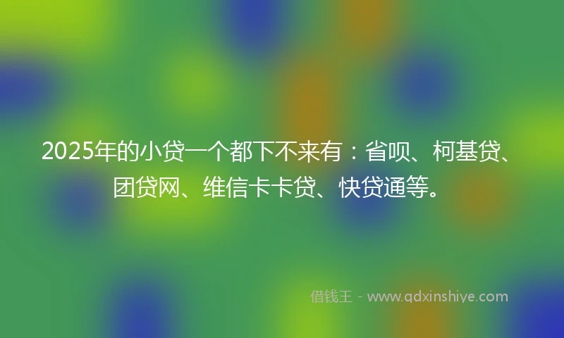 2025年的小贷一个都下不来有：省呗、柯基贷、团贷网、维信卡卡贷、快贷通等。