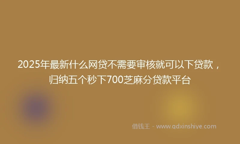 2025年最新什么网贷不需要审核就可以下贷款，归纳五个秒下700芝麻分贷款平台