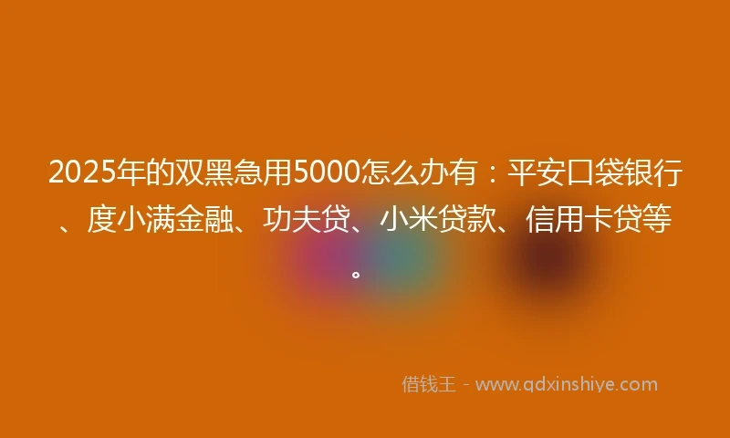 2025年的双黑急用5000怎么办有：平安口袋银行、度小满金融、功夫贷、小米贷款、信用卡贷等。