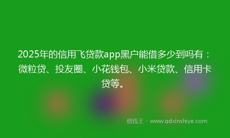 2025年的信用飞贷款app黑户能借多少到吗有：微粒贷、投友圈、小花钱包、小米贷款、信用卡贷等。