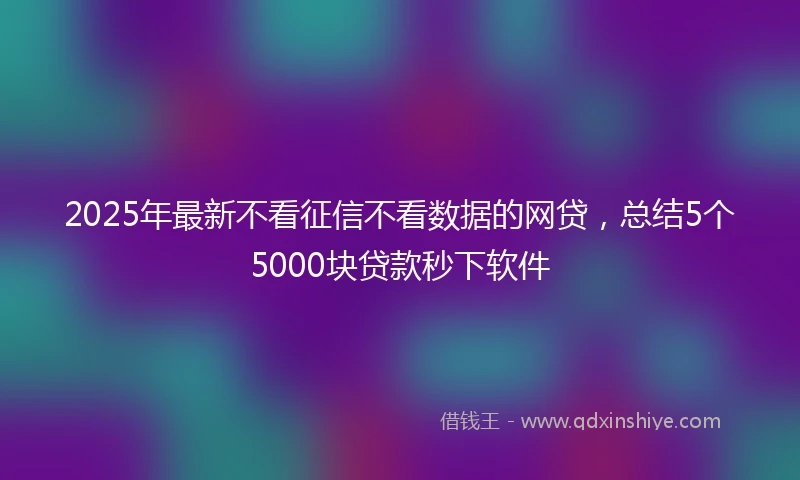 2025年最新不看征信不看数据的网贷，总结5个5000块贷款秒下软件