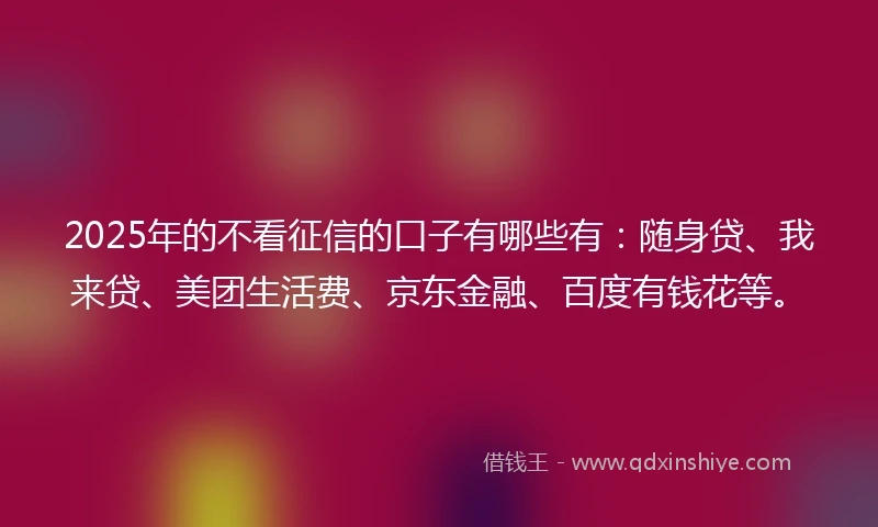 2025年的不看征信的口子有哪些有：随身贷、我来贷、美团生活费、京东金融、百度有钱花等。