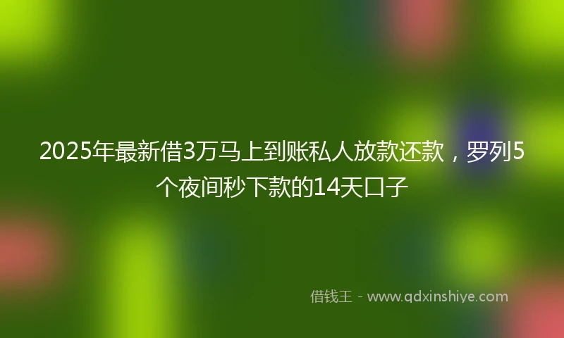 2025年最新借3万马上到账私人放款还款，罗列5个夜间秒下款的14天口子