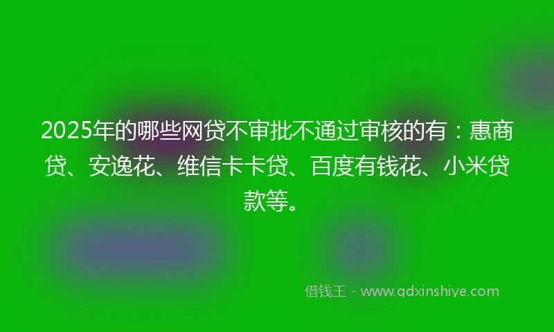 2025年的哪些网贷不审批不通过审核的有：惠商贷、安逸花、维信卡卡贷、百度有钱花、小米贷款等。