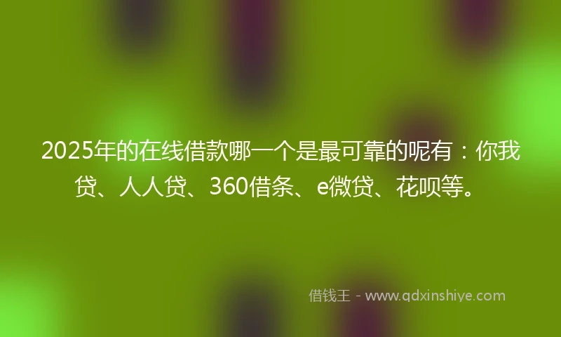 2025年的在线借款哪一个是最可靠的呢有：你我贷、人人贷、360借条、e微贷、花呗等。