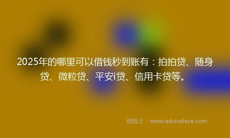 2025年的哪里可以借钱秒到账有：拍拍贷、随身贷、微粒贷、平安i贷、信用卡贷等。