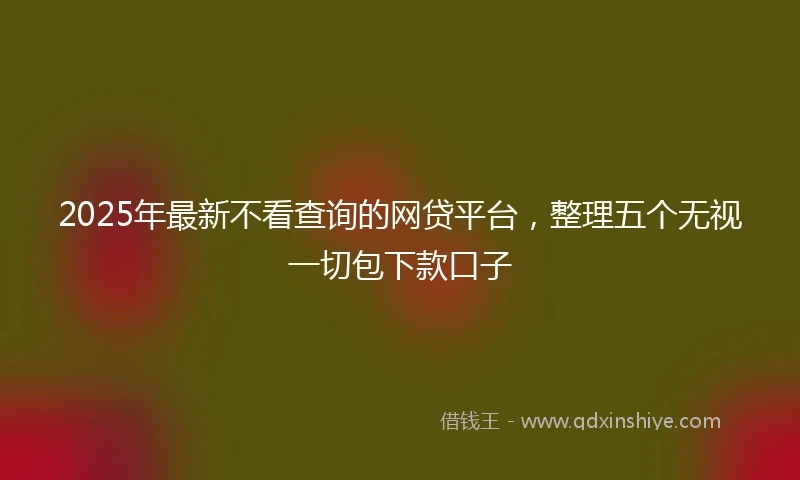 2025年最新不看查询的网贷平台，整理五个无视一切包下款口子