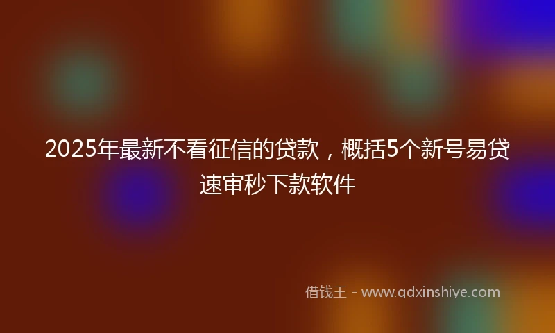 2025年最新不看征信的贷款，概括5个新号易贷速审秒下款软件