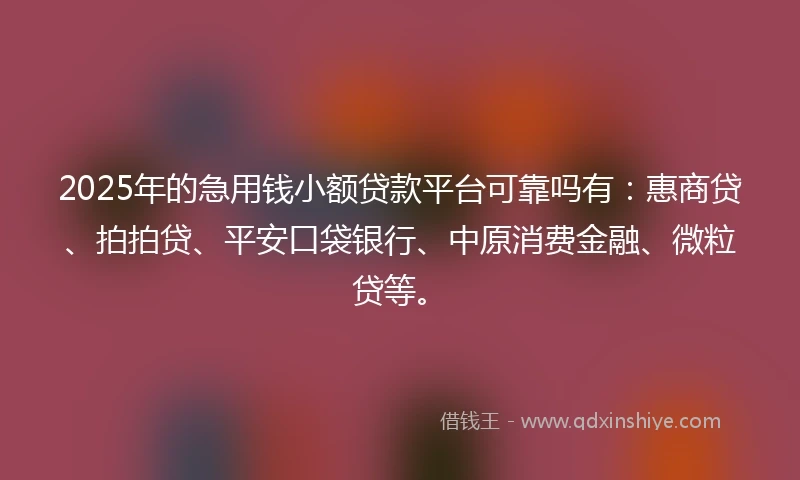 2025年的急用钱小额贷款平台可靠吗有：惠商贷、拍拍贷、平安口袋银行、中原消费金融、微粒贷等。