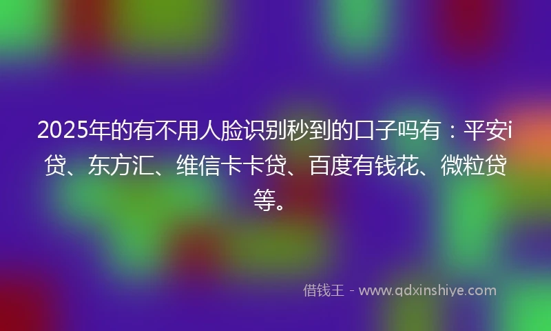 2025年的有不用人脸识别秒到的口子吗有：平安i贷、东方汇、维信卡卡贷、百度有钱花、微粒贷等。