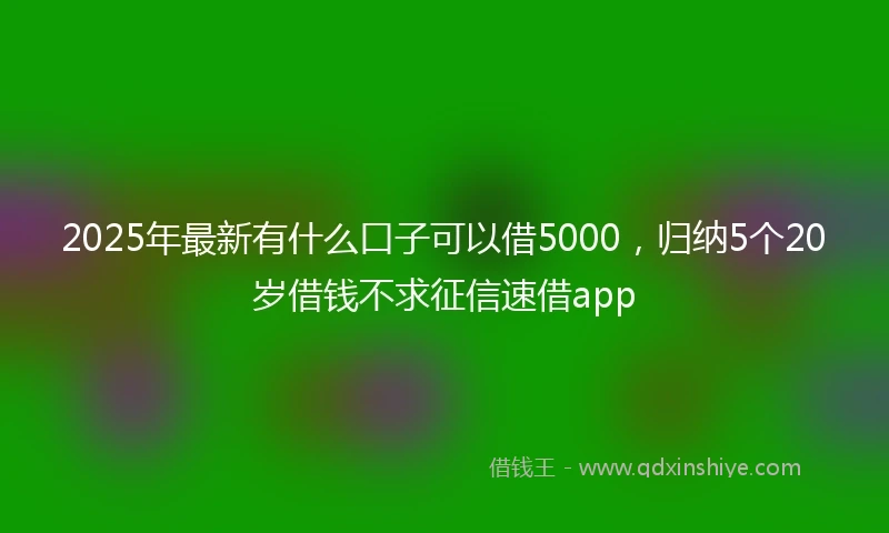 2025年最新有什么口子可以借5000，归纳5个20岁借钱不求征信速借app
