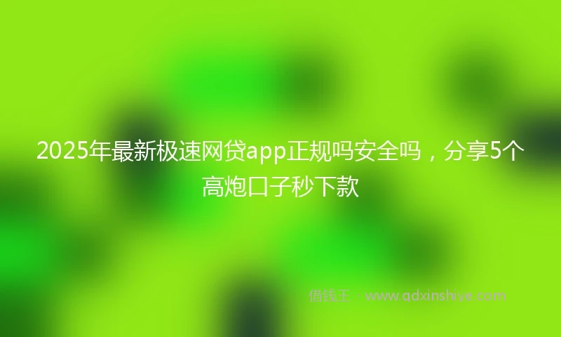 2025年最新极速网贷app正规吗安全吗，分享5个高炮口子秒下款
