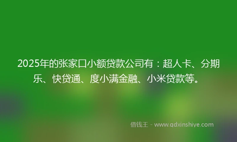 2025年的张家口小额贷款公司有：超人卡、分期乐、快贷通、度小满金融、小米贷款等。