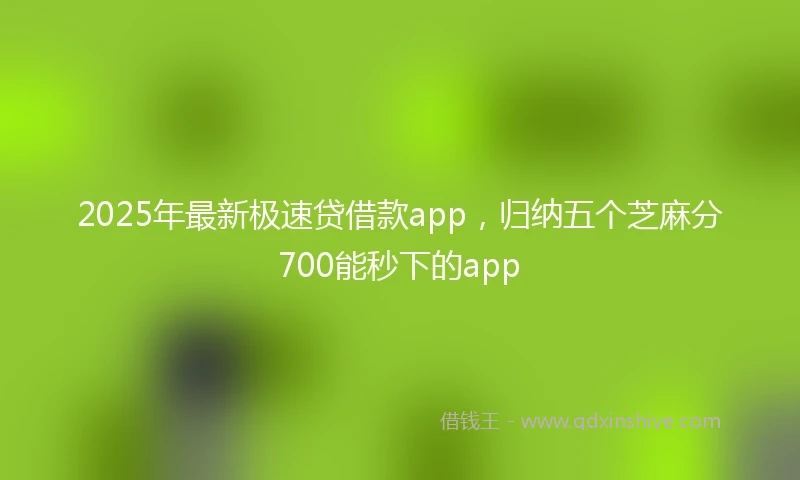 2025年最新极速贷借款app，归纳五个芝麻分700能秒下的app