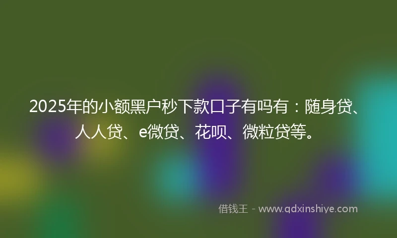 2025年的小额黑户秒下款口子有吗有：随身贷、人人贷、e微贷、花呗、微粒贷等。