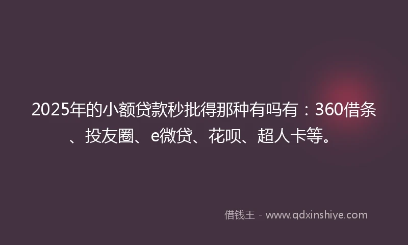 2025年的小额贷款秒批得那种有吗有：360借条、投友圈、e微贷、花呗、超人卡等。
