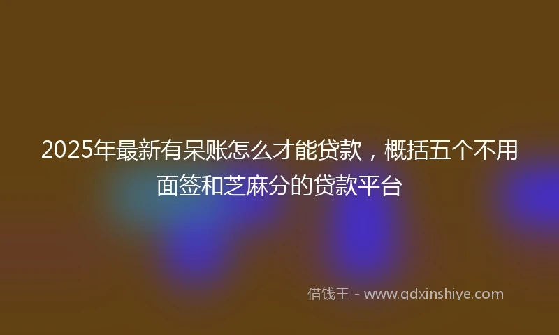 2025年最新有呆账怎么才能贷款，概括五个不用面签和芝麻分的贷款平台