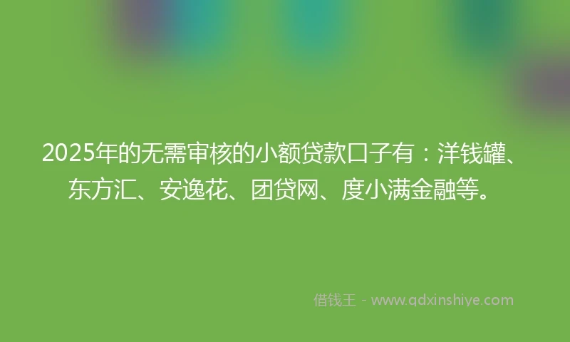 2025年的无需审核的小额贷款口子有：洋钱罐、东方汇、安逸花、团贷网、度小满金融等。