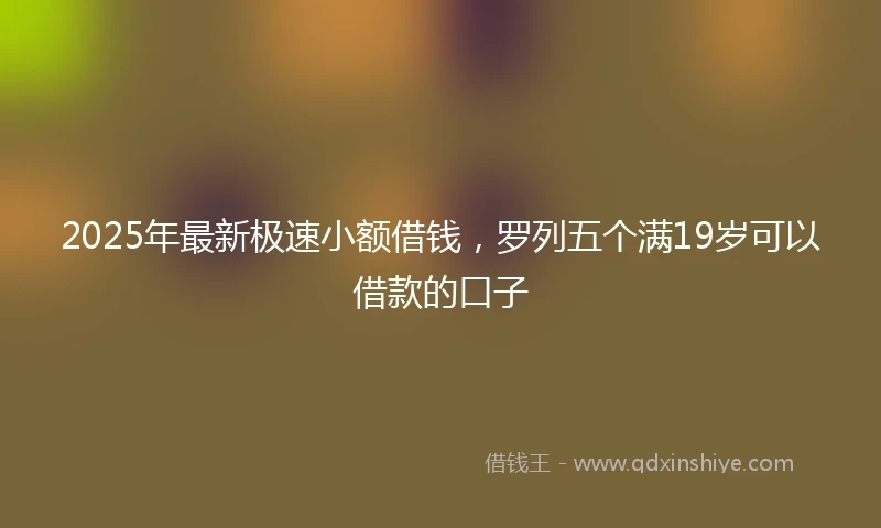 2025年最新极速小额借钱，罗列五个满19岁可以借款的口子