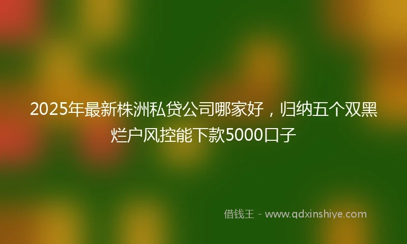 2025年最新株洲私贷公司哪家好，归纳五个双黑烂户风控能下款5000口子