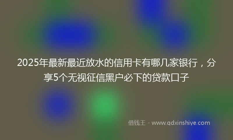 2025年最新最近放水的信用卡有哪几家银行，分享5个无视征信黑户必下的贷款口子