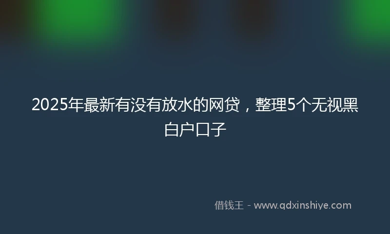 2025年最新有没有放水的网贷，整理5个无视黑白户口子