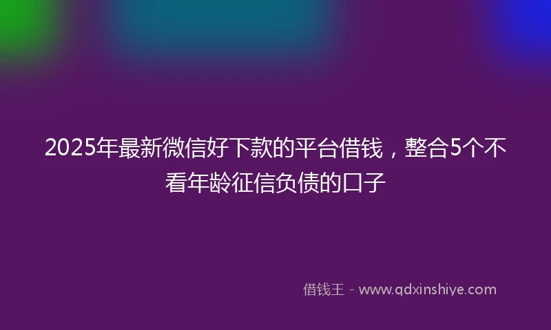 2025年最新微信好下款的平台借钱，整合5个不看年龄征信负债的口子