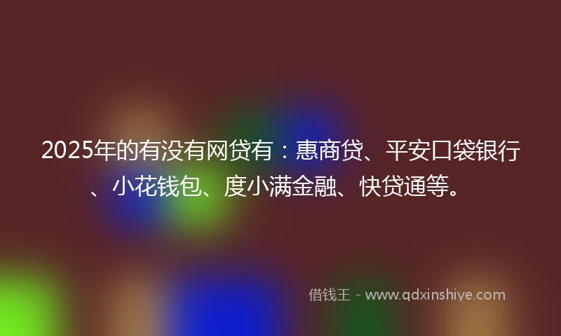2025年的有没有网贷有：惠商贷、平安口袋银行、小花钱包、度小满金融、快贷通等。