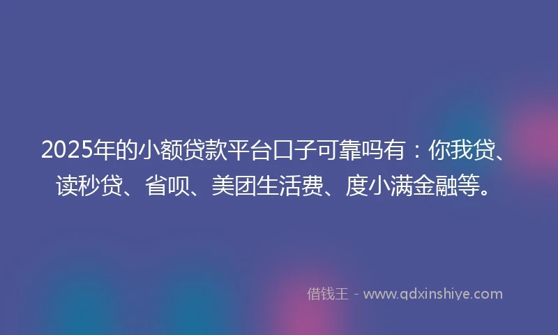2025年的小额贷款平台口子可靠吗有：你我贷、读秒贷、省呗、美团生活费、度小满金融等。