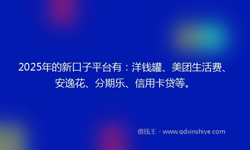 2025年的新口子平台有：洋钱罐、美团生活费、安逸花、分期乐、信用卡贷等。