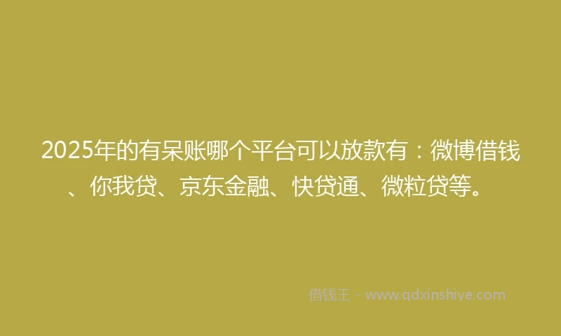 2025年的有呆账哪个平台可以放款有：微博借钱、你我贷、京东金融、快贷通、微粒贷等。