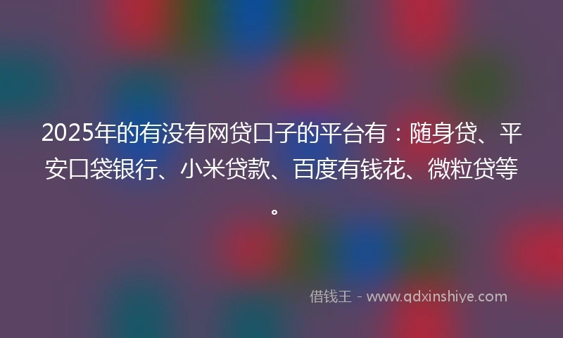 2025年的有没有网贷口子的平台有：随身贷、平安口袋银行、小米贷款、百度有钱花、微粒贷等。