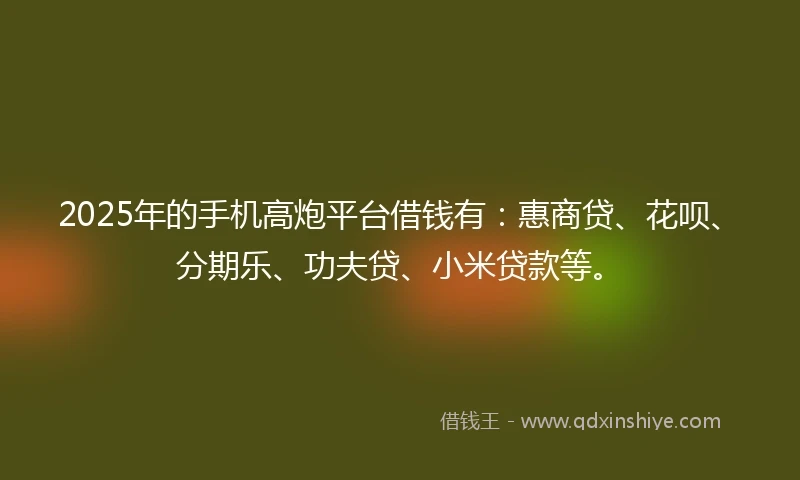 2025年的手机高炮平台借钱有：惠商贷、花呗、分期乐、功夫贷、小米贷款等。