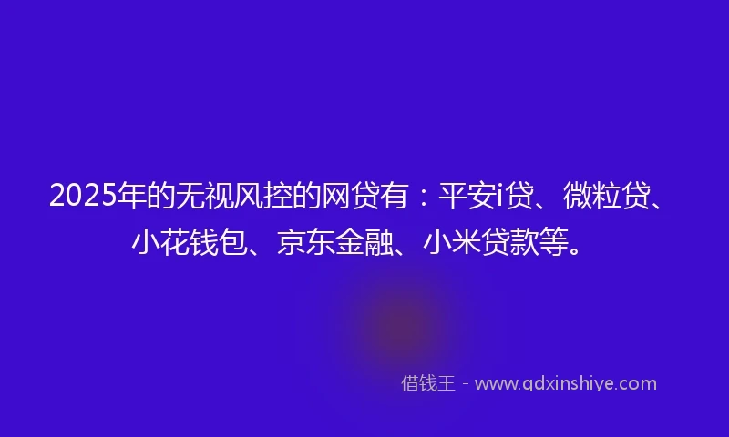 2025年的无视风控的网贷有：平安i贷、微粒贷、小花钱包、京东金融、小米贷款等。