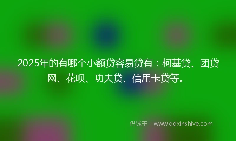 2025年的有哪个小额贷容易贷有：柯基贷、团贷网、花呗、功夫贷、信用卡贷等。