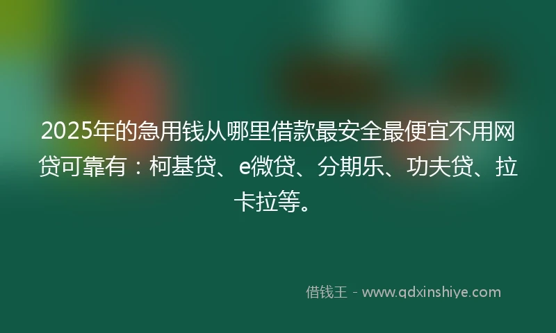 2025年的急用钱从哪里借款最安全最便宜不用网贷可靠有：柯基贷、e微贷、分期乐、功夫贷、拉卡拉等。