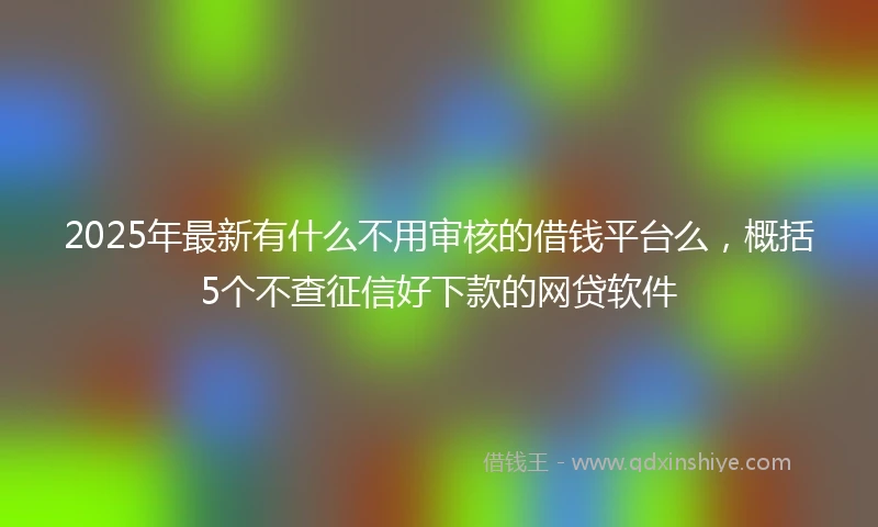 2025年最新有什么不用审核的借钱平台么，概括5个不查征信好下款的网贷软件