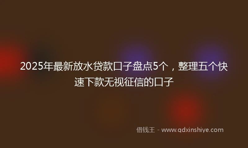 2025年最新放水贷款口子盘点5个，整理五个快速下款无视征信的口子